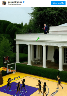 A meme posted by Donald Trump, Jr.